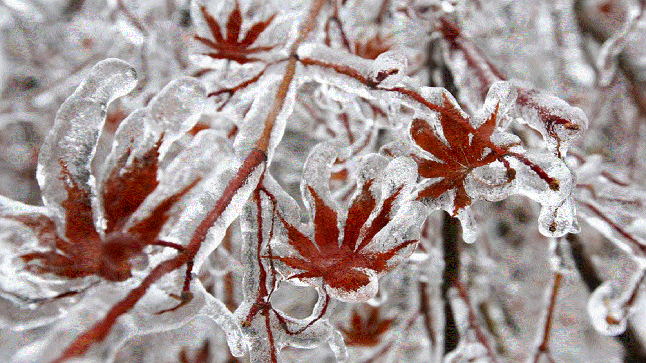 کاهش دما و یخبندان شبانه؛ چه استان‌هایی باید تجهیزات گرمایشی آماده کنند؟