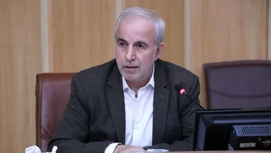 کوچکینژاد: هدف قانون، حمایت از اقشار ضعیف و حذف یارانه ثروتمندان است