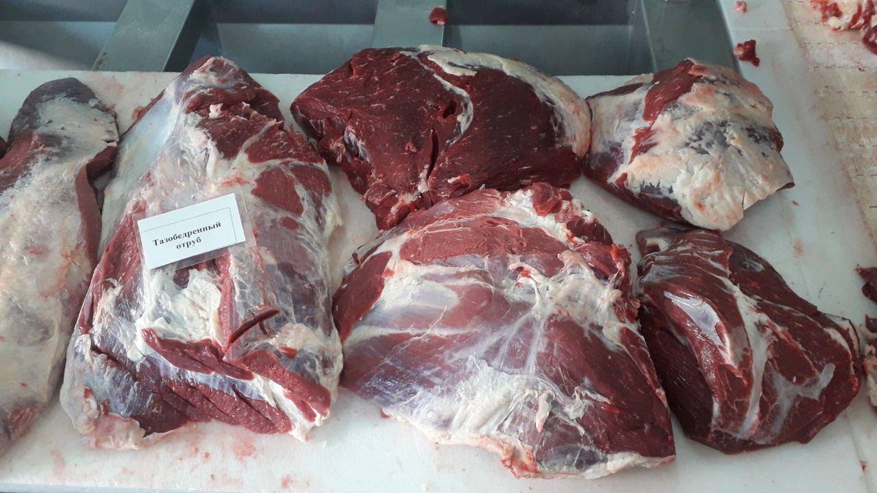 گوشت تنظیم بازاری در فروشگاهها با قیمت ۸۰۹ تا ۹۰۹ هزار تومان عرضه میشود