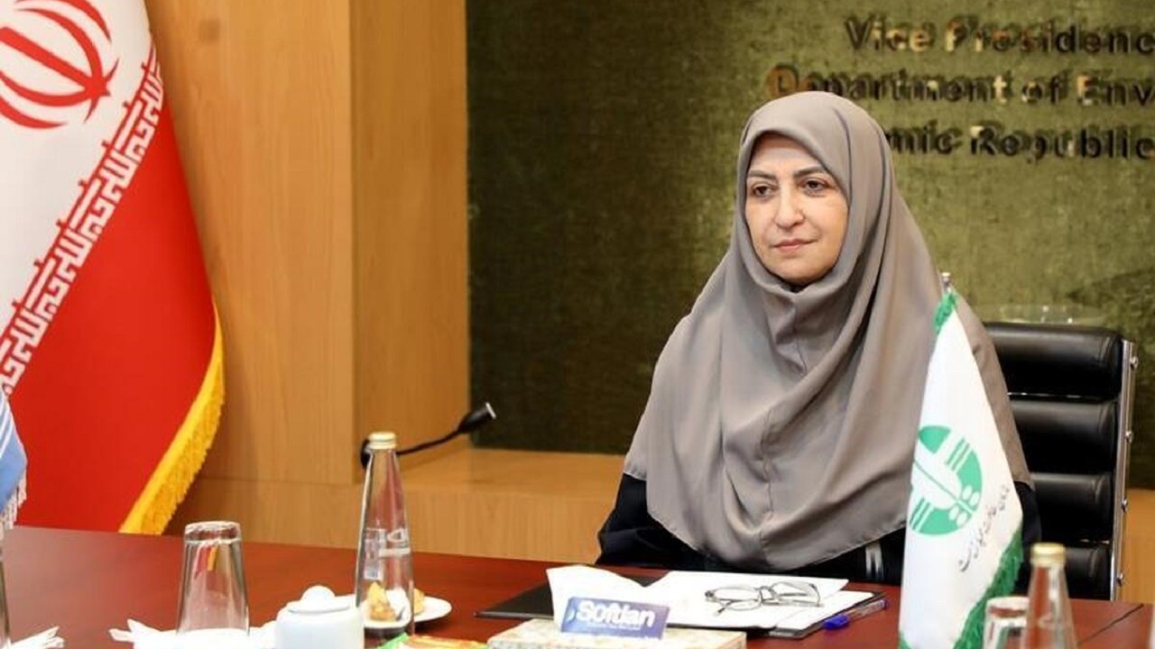 شینا انصاری هشدار داد: فرونشست زمین به بحران ملی تبدیل شده است