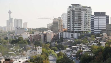 آلودگی هوا به جانمان رسیده است