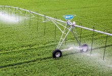 تکذیب آمار ۹۰ درصدی؛ سهم واقعی کشاورزی از آب تجدیدپذیر حدود ۷۰ درصد است