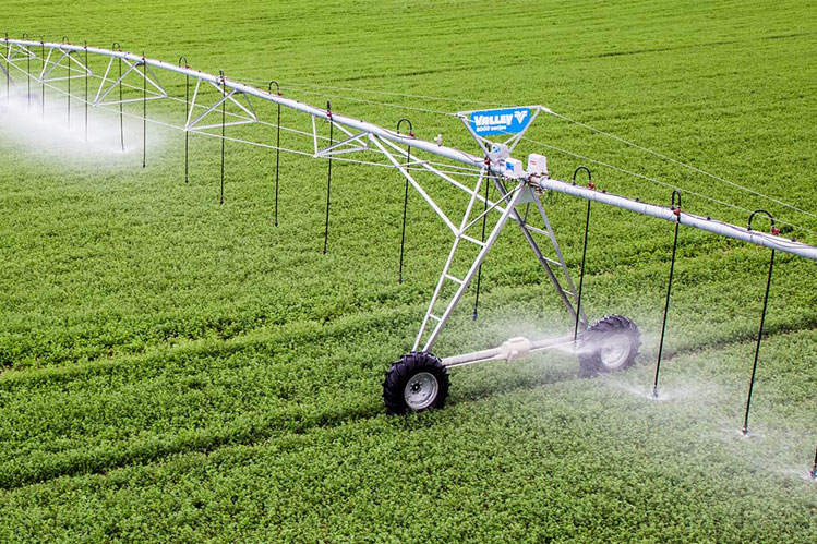 تکذیب آمار ۹۰ درصدی؛ سهم واقعی کشاورزی از آب تجدیدپذیر حدود ۷۰ درصد است