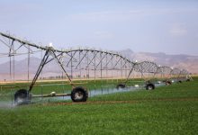 افزایش استقبال کشاورزان؛ سامانه‌های نوین آبیاری چطور مصرف آب را ۳۰٪ کاهش می‌دهند؟