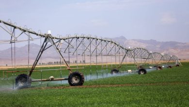 افزایش استقبال کشاورزان؛ سامانه‌های نوین آبیاری چطور مصرف آب را ۳۰٪ کاهش می‌دهند؟