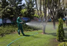 چهره شهر تهران، تابلوی کم‌آبی نیست؛ آبیاری فضای سبز معضلی جدی است!