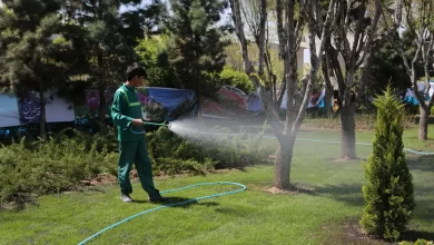 چهره شهر تهران، تابلوی کم‌آبی نیست؛ آبیاری فضای سبز معضلی جدی است!