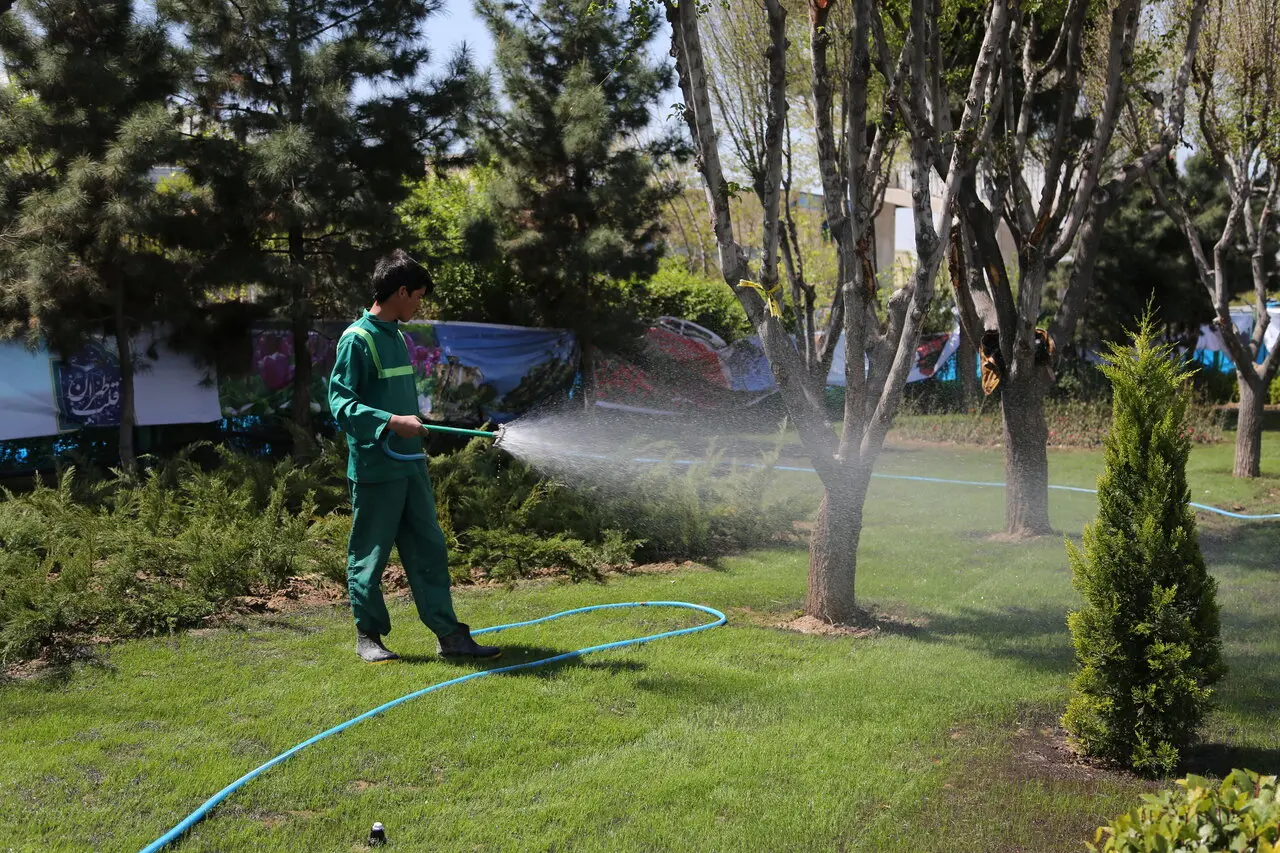 چهره شهر تهران، تابلوی کمآبی نیست؛ آبیاری فضای سبز معضلی جدی است!