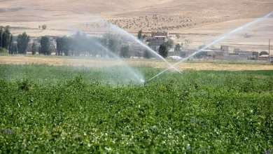 آیا تجربه ازبکستان و قزاقستان در مدرن‌سازی آبیاری برای ایران قابل استفاده است؟