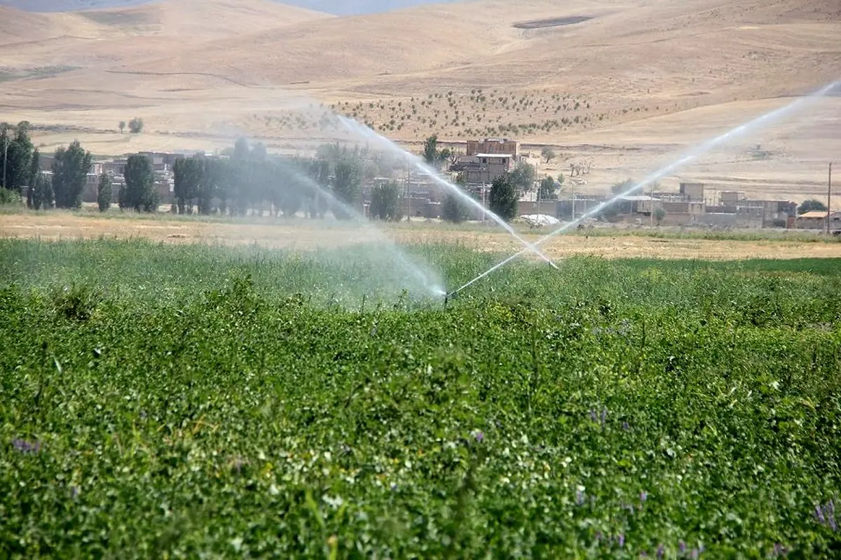 آیا تجربه ازبکستان و قزاقستان در مدرنسازی آبیاری برای ایران قابل استفاده است؟