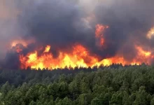 باد پاییزی آتش‌سوزی الیت را شعله‌ور کرد؛ مهار آتش فقط با بالگرد ممکن است