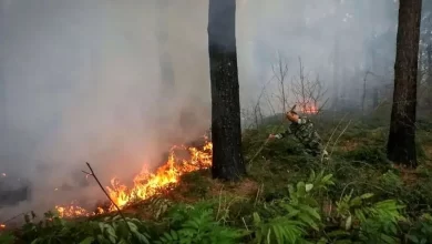 : کمک‌های بین‌المللی برای خاموش کردن آتش‌سوزی جنگل‌های الیت چالوس در راه است