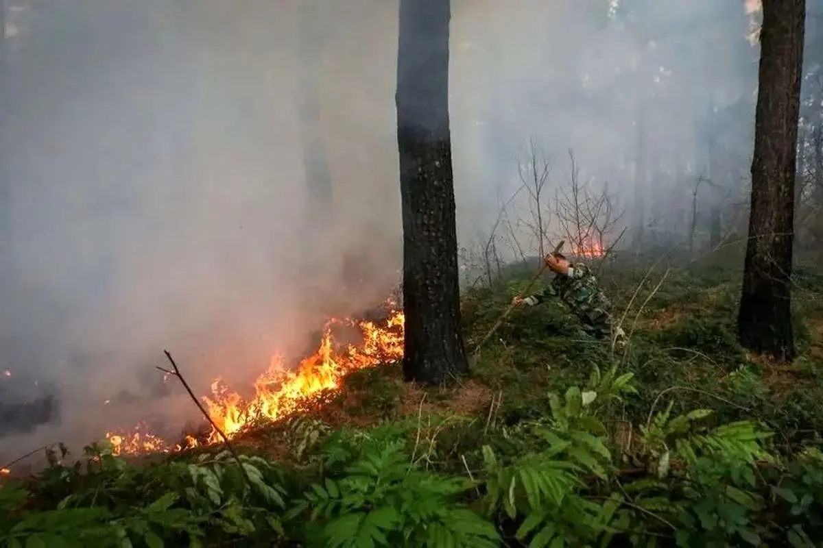 : کمک‌های بین‌المللی برای خاموش کردن آتش‌سوزی جنگل‌های الیت چالوس در راه است