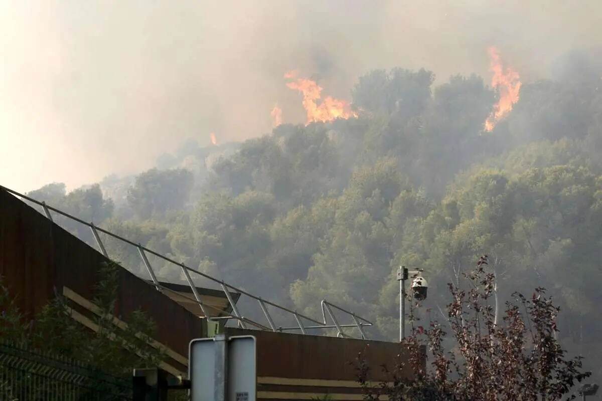 آتش‌سوزی جنگل‌های هیرکانی مازندران هنوز مهار نشده و عملیات اطفای حریق جنگل‌های هیرکانی روستای «الیت» مازندران، ادامه دارد. در این گزارش علل آتش سوزی در این جنگل را بررسی کردیم و از تفاوت‌های آتش سوزی در هیرکانی و زاگرس گفتیم.