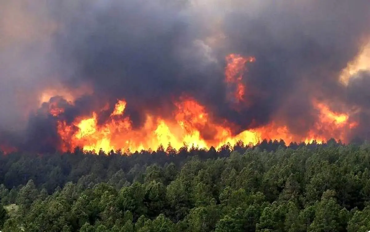 باد پاییزی آتشسوزی الیت را شعلهور کرد؛ مهار آتش فقط با بالگرد ممکن است