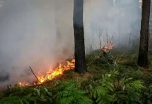 اطفای آتش‌سوزی