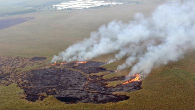 تأخیر آغاز به کار