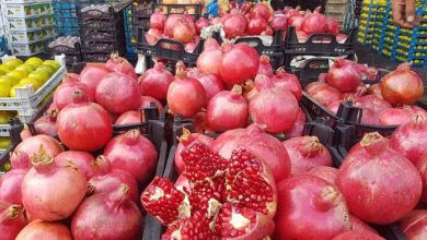 آخرین قیمت میوه و تره‌بار امروز تهران؛ قیمت پسته و انار چند؟