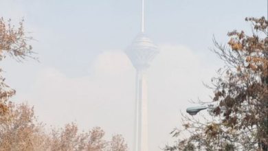 کلان‌شهرها را فرا