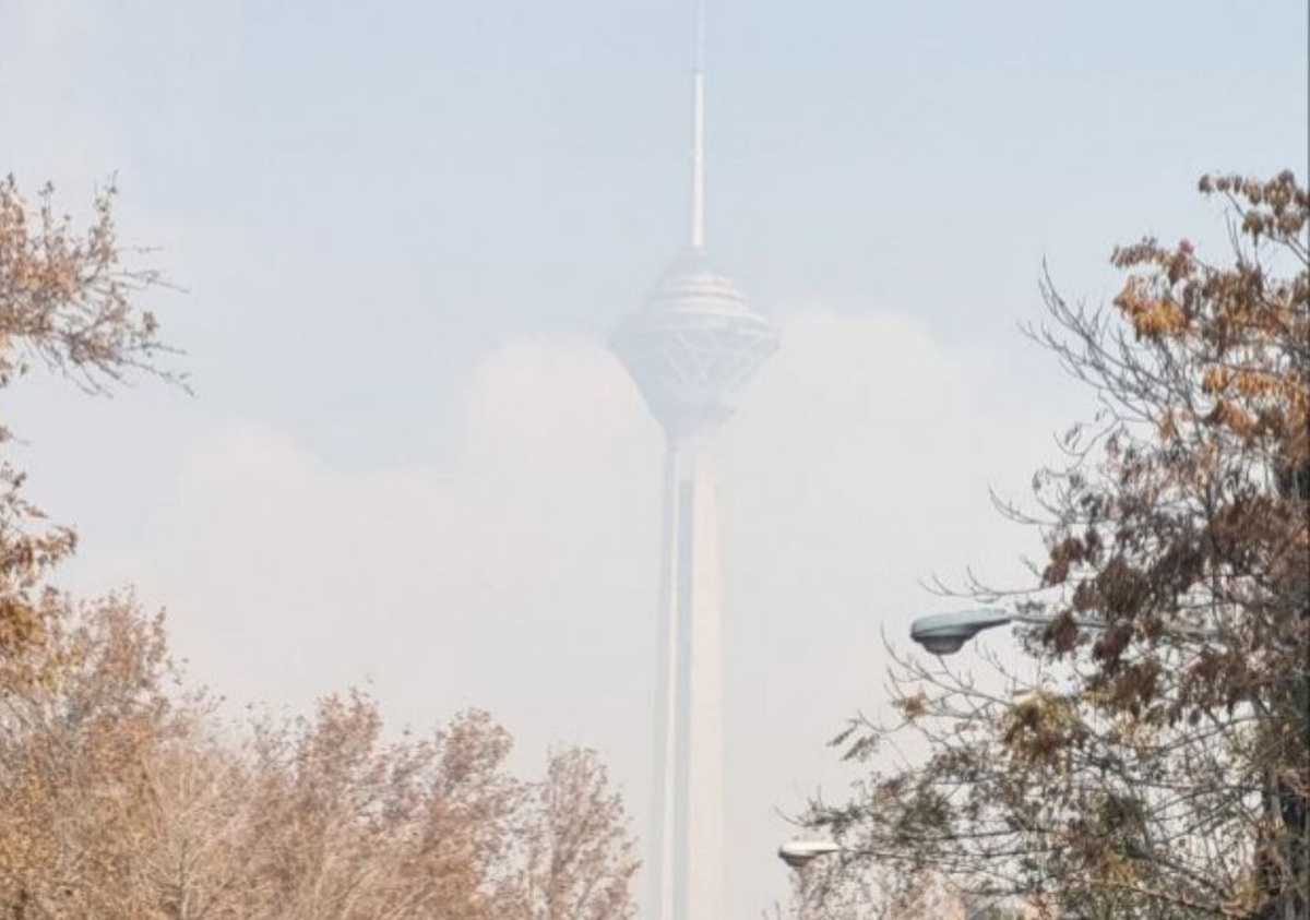 کلانشهرها را فرا