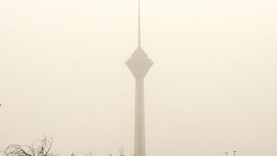 درباره تعطیلی‌ها