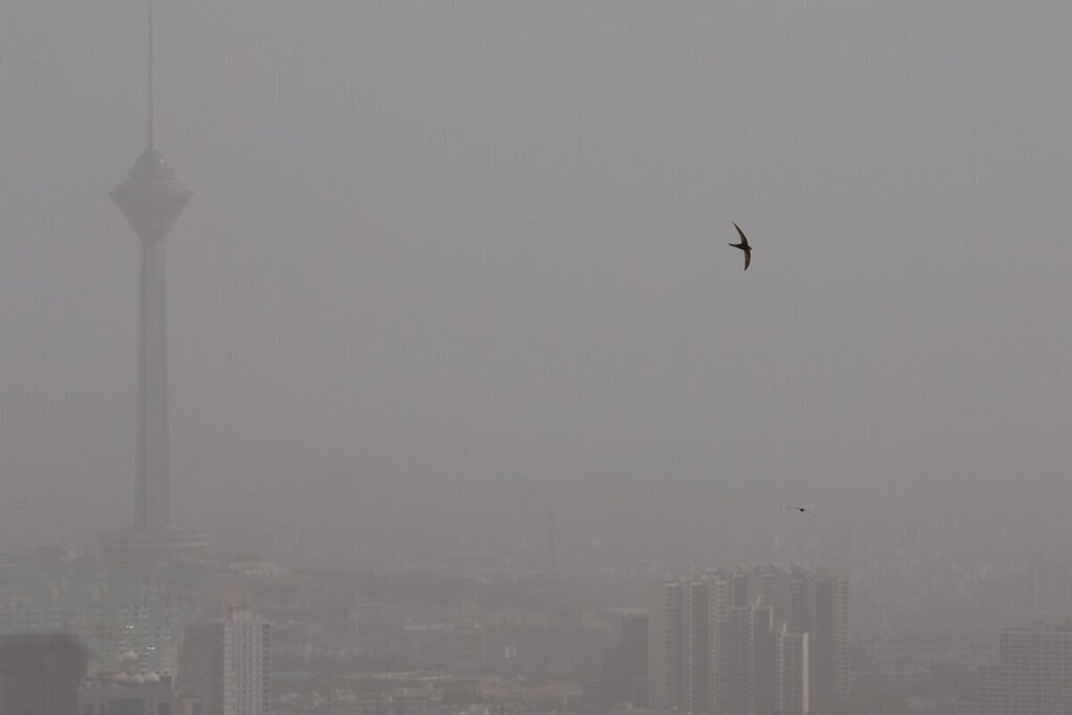 شهر آلوده جهان