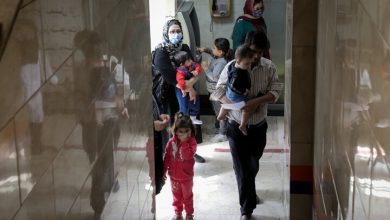 از سرماخوردگی تا آنفلوانزا؛ تفاوت علایم بیماران و نقش ویروس‌های دیگر در جامعه