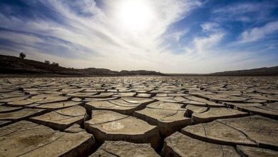 دمایی بالاتر