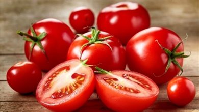 افزایش قیمت گوجه‌فرنگی