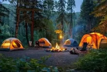 اقامت شبانه در جنگل‌ها