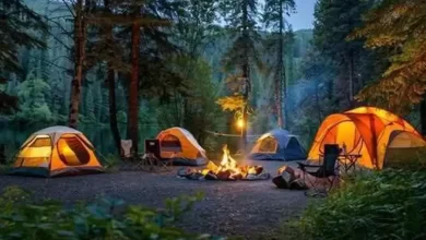 اقامت شبانه در جنگل‌ها