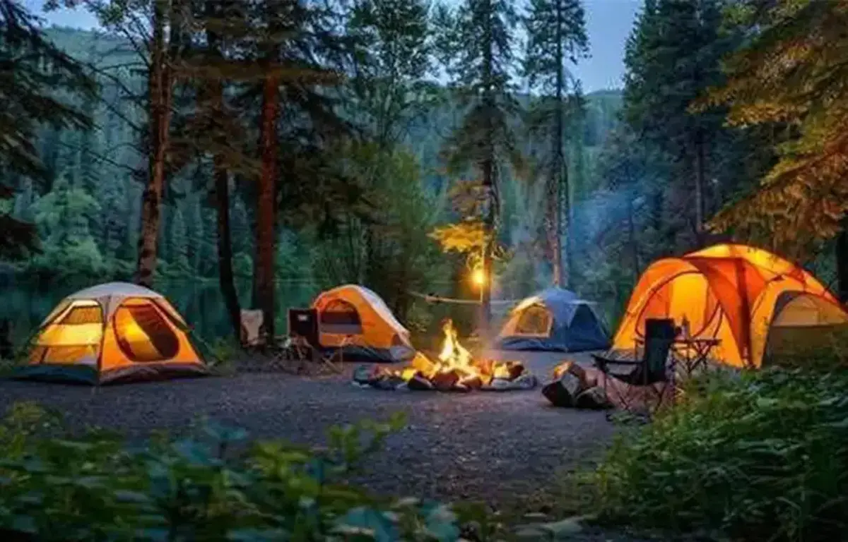 اقامت شبانه در جنگل‌ها