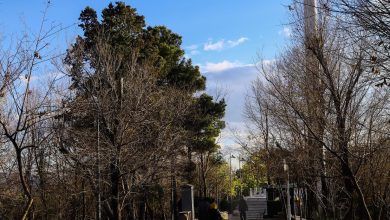 آسمان صاف و جو آرام