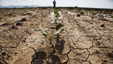 ایران در ششمین سال خشکسالی: پیش‌بینی بارش‌های ناچیز تا پایان آبان