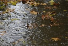 باد شدید و رگبار