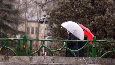 بارش پراکنده