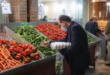 ۷۰ درصد درآمد میوه به دلالان می‌رسد