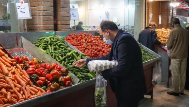 ۷۰ درصد درآمد میوه به دلالان می‌رسد