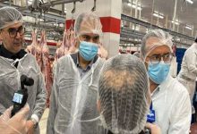 بازرسان سازمان بازرسی: آیا کیفیت گوشت وارداتی تأمین می‌شود؟