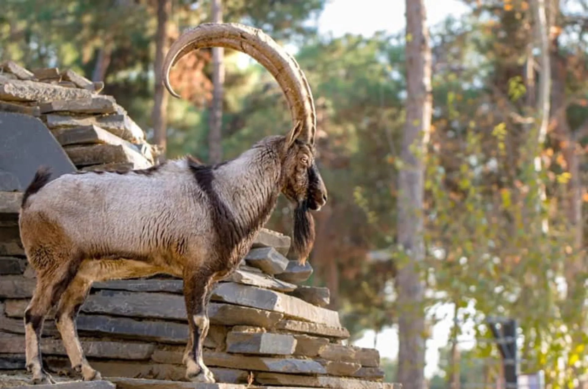 روز دانش‌آموز