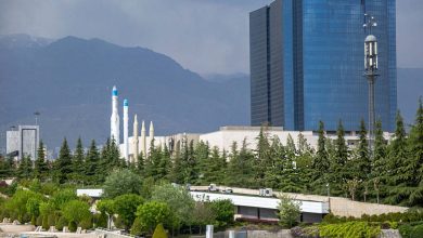 سامانه چکاوک