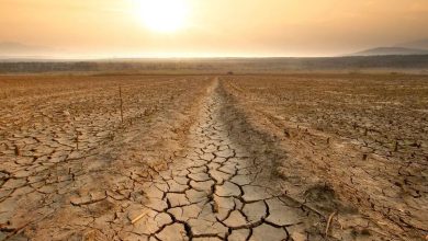 خطاهای انسانی