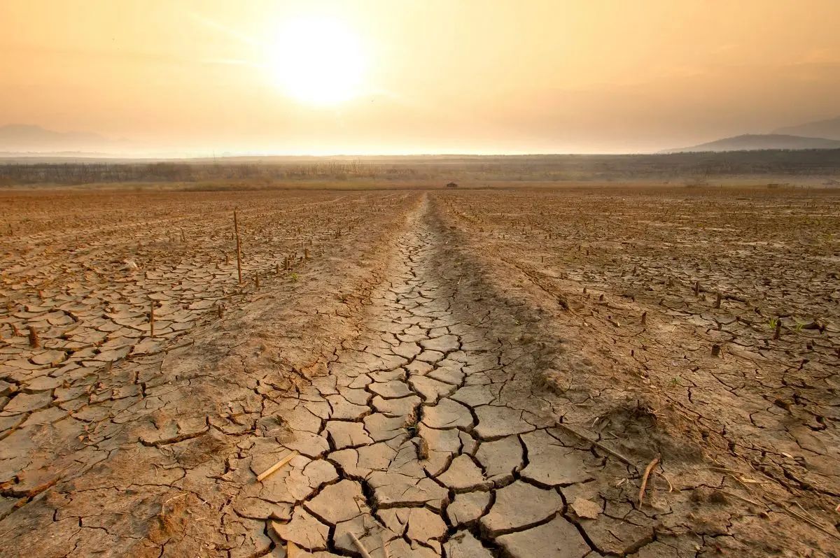 خطاهای انسانی