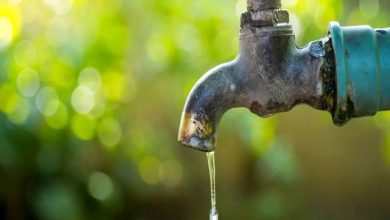 رئیس مؤسسه تحقیقات آب: تهران باید فوراً برای شرایط بحرانی آماده شود