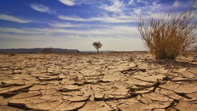 بحران آب در کمین؛ پیش‌بینی عدم بارش‌های مؤثر تا اواسط آذرماه