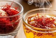 برداشت زعفران