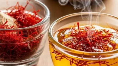 برداشت زعفران