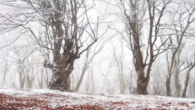 مازندران برفی