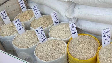 چرا قیمت برنج ایرانی به ۳۰۰ هزار تومان رسید؟ بررسی دلایل کمبود و واردات