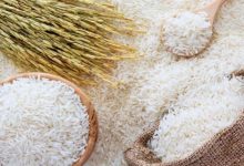 قیمت برنج ایرانی سه برابر بازار جهانی؛ هر کیلو برنج کیفی در دنیا یک دلار